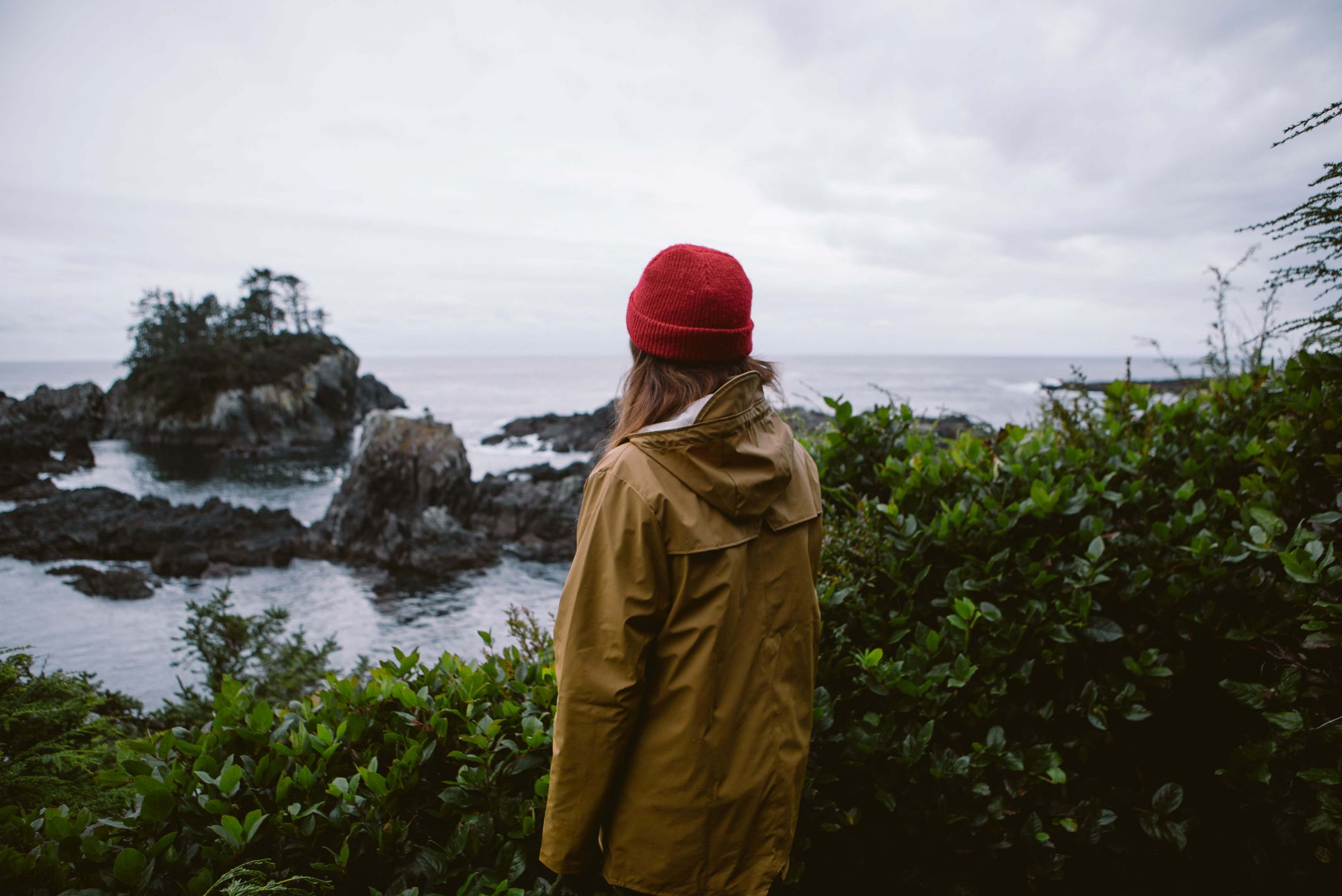 The Ultimate Guide to Storm Watching in Ucluelet, BC - Tourism Vancouver  Island