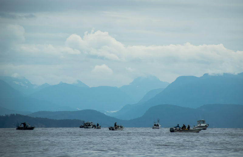 fishing boats off Vancouver Island