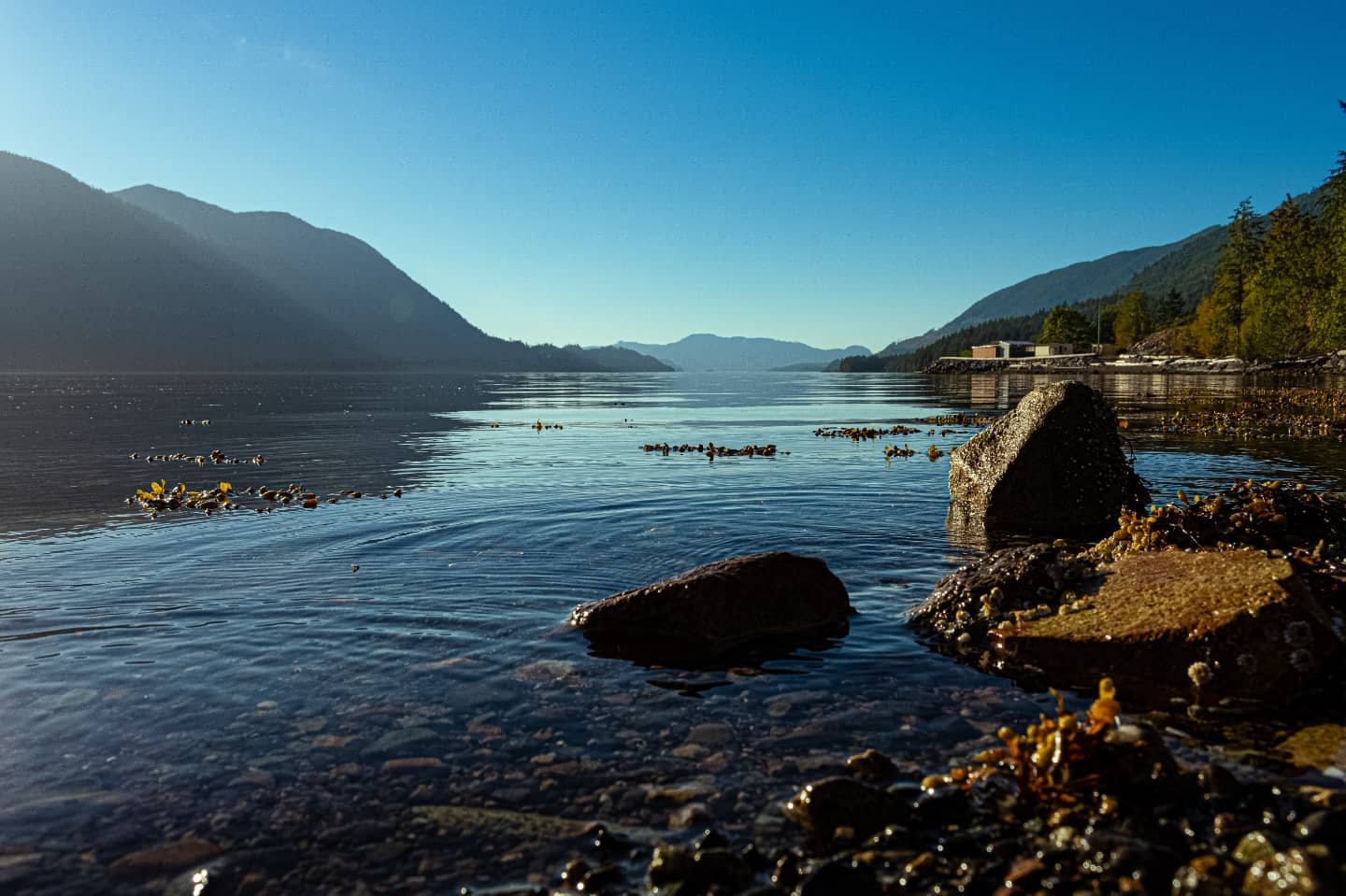 Port Alice - Tourism Vancouver Island