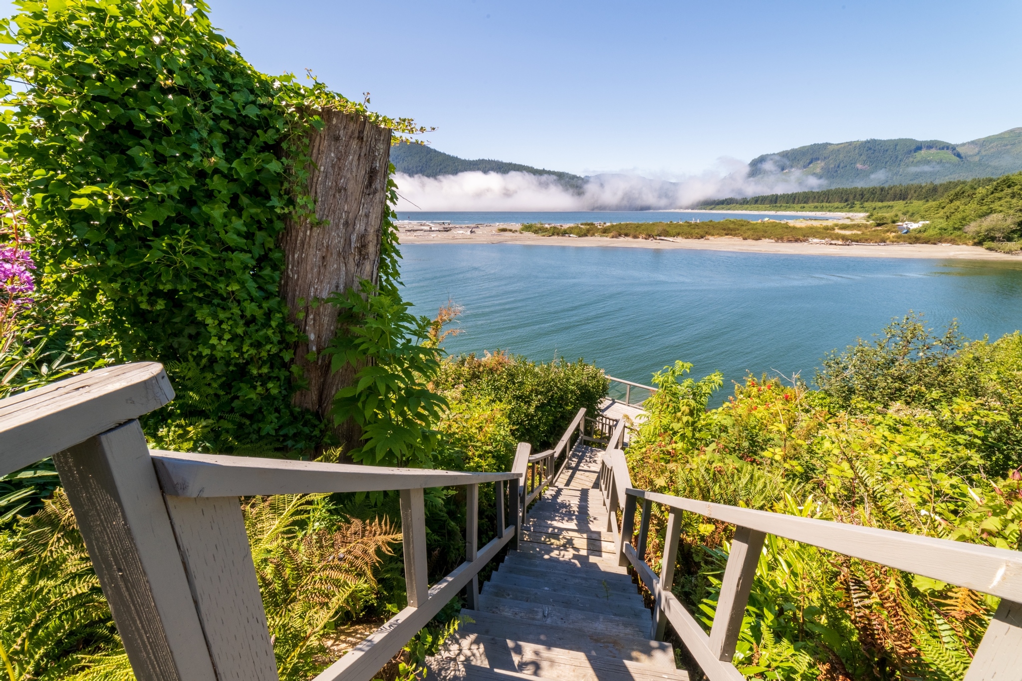 Stay Port Renfrew Tourism Vancouver Island